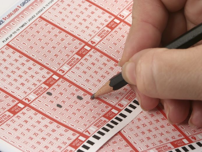 tatts-lotto-amp-news-newly-established-great-opportunity-2506031-0