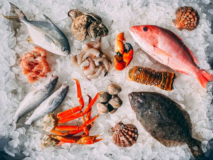 seafood-retail-business-heidelberg-2609251-2