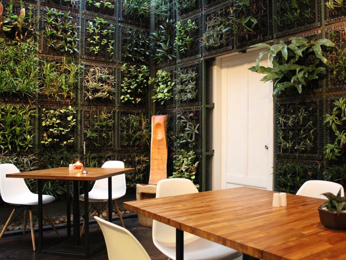 busy-burger-takeaway-with-15k-weekly-sales-new-fit-out-2509141-1