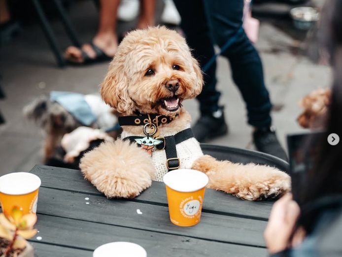 profitable-melbourne-cafe-18k-weekly-revenue-low-rent-premium-location-7