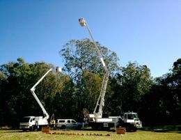 RARE TURNKEY BUSINESS OPPORTUNITY - TREE SERVICES BUSINESS BRISBANE
