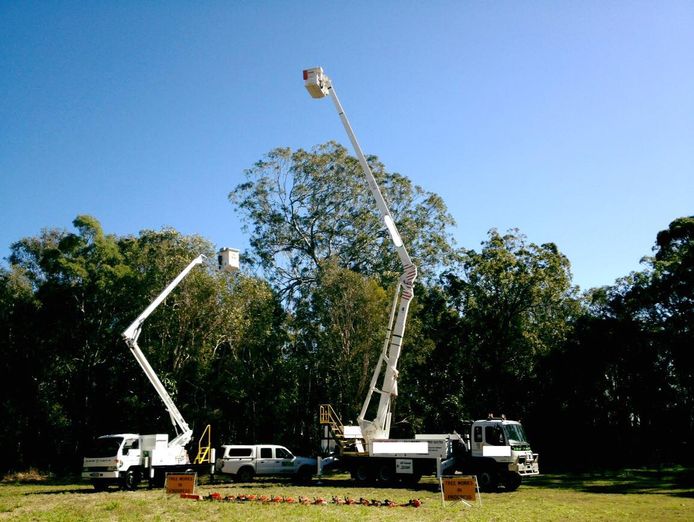 rare-turnkey-business-opportunity-tree-services-business-brisbane-0
