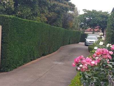 urgent-sale-ballarat-vic-franchise-business-for-sale-t-o-185k-asking-9k-gst-5