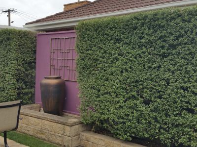 urgent-sale-ballarat-vic-franchise-business-for-sale-t-o-185k-asking-9k-gst-6