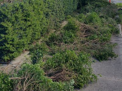 urgent-sale-ballarat-vic-franchise-business-for-sale-t-o-185k-asking-9k-gst-7