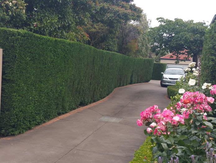 urgent-sale-ballarat-vic-franchise-business-for-sale-t-o-185k-asking-9k-gst-5