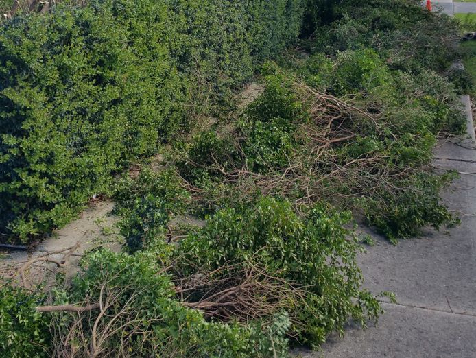 urgent-sale-ballarat-vic-franchise-business-for-sale-t-o-185k-asking-9k-gst-7