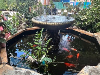 profitable-15-room-murray-river-motel-with-long-lease-security-9