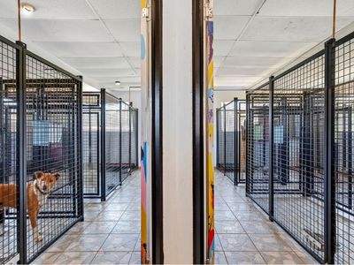 26-acres-established-pet-resort-amp-multiple-residences-a-rare-freehold-oppor-2