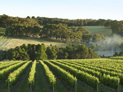 sold-the-bond-store-wine-merchant-2