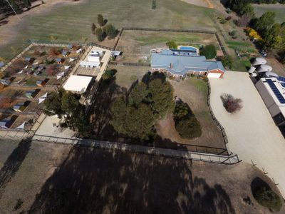 licensed-30-dog-facility-with-established-17-year-trading-history-within-90-min-0