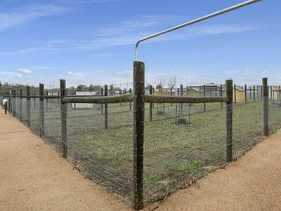 licensed-30-dog-facility-with-established-17-year-trading-history-within-90-min-4