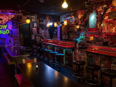 yellow-bird-situated-prominently-on-the-corner-chapel-street-8