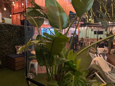 peachy-keen-inspired-container-bar-3