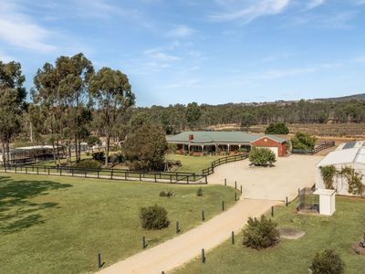 licensed-30-dog-facility-with-established-17-year-trading-history-within-90-min-1