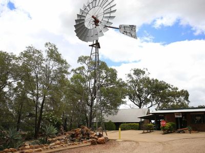 sapphire-caravan-amp-cabin-park-established-park-in-a-renowned-outback-tourism-r-0