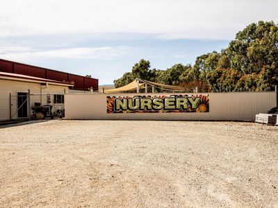 corryong-building-supplies-1p5555-8