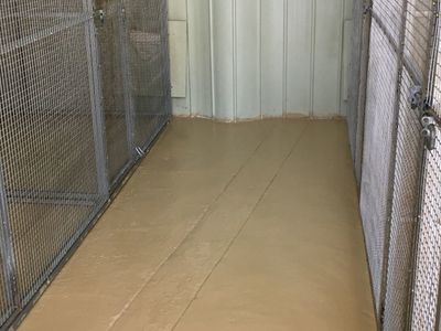 licensed-30-dog-facility-with-established-17-year-trading-history-within-90-min-9