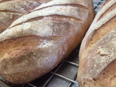 highly-regarded-bakery-amp-caf-233-with-consistent-trade-hobart-0