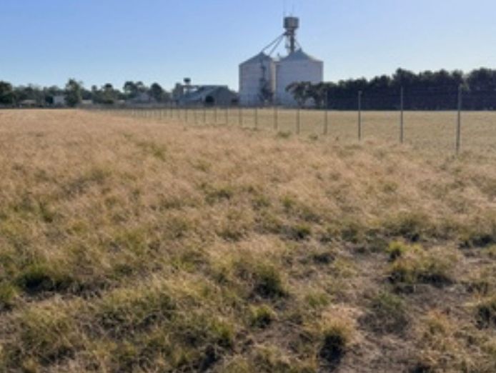 prime-highway-frontage-development-opportunity-warracknabeal-1