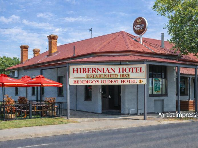 the-hibernian-bendigo-the-hibo-is-looking-for-a-new-owner-plant-amp-equipment-0