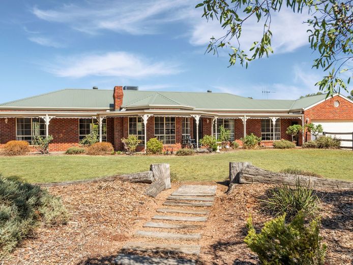 licensed-30-dog-facility-with-established-17-year-trading-history-within-90-min-6