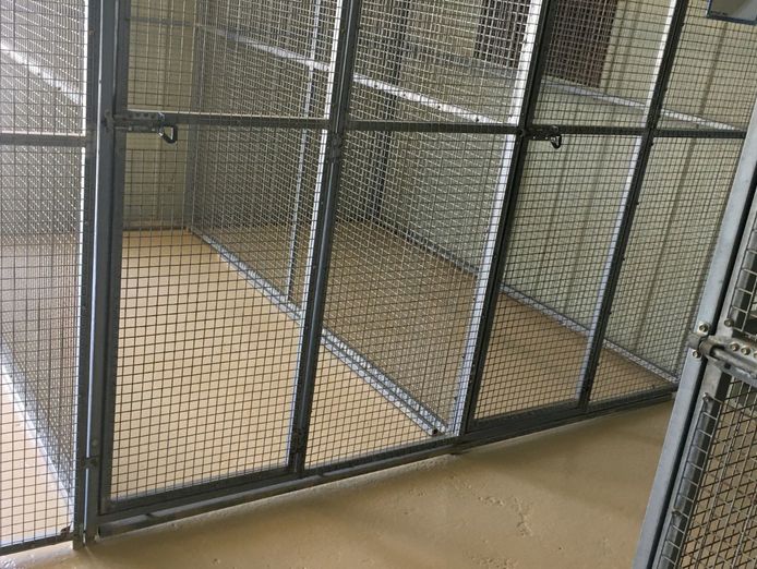 licensed-30-dog-facility-with-established-17-year-trading-history-within-90-min-7