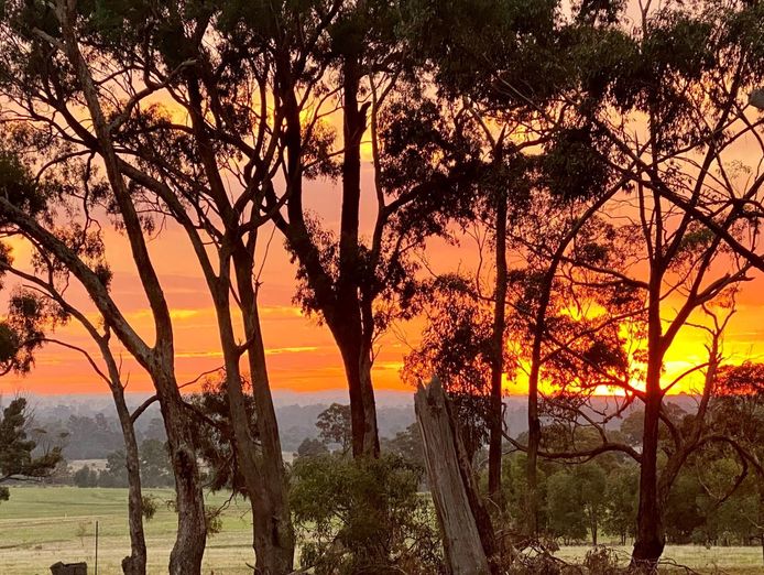 happy-wanderer-holiday-resort-expansive-grampians-lifestyle-retreat-with-mul-4