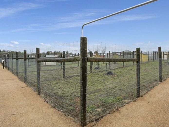 licensed-30-dog-facility-with-established-17-year-trading-history-within-90-min-4