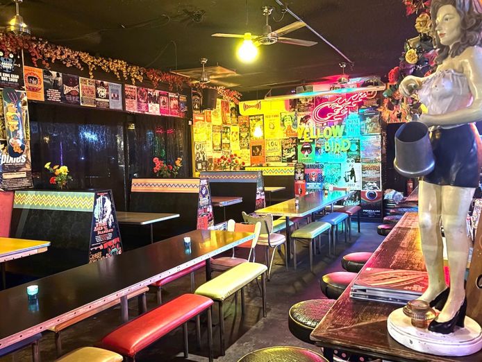 yellow-bird-situated-prominently-on-the-corner-chapel-street-6