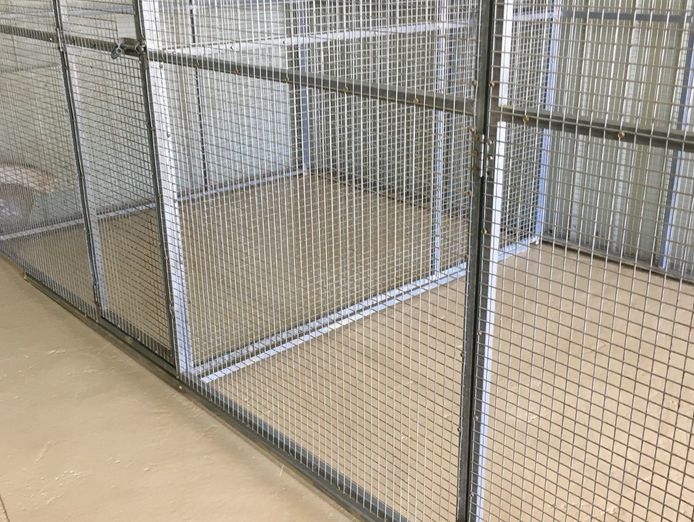 licensed-30-dog-facility-with-established-17-year-trading-history-within-90-min-8