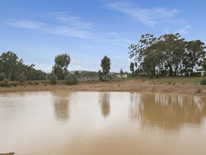 licensed-30-dog-facility-with-established-17-year-trading-history-within-90-min-2