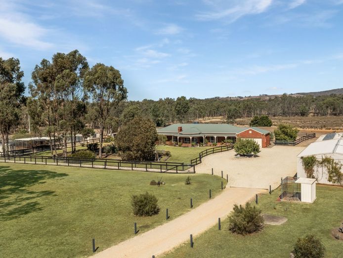 licensed-30-dog-facility-with-established-17-year-trading-history-within-90-min-1