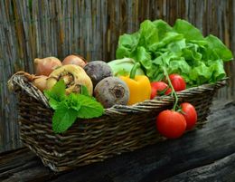 PRICE REDUCED Organic Food Business for Sale - Exciting Opportunity