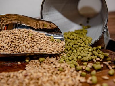 brew-your-dream-business-sydney-39-s-premier-home-brewing-hub-for-sale-1