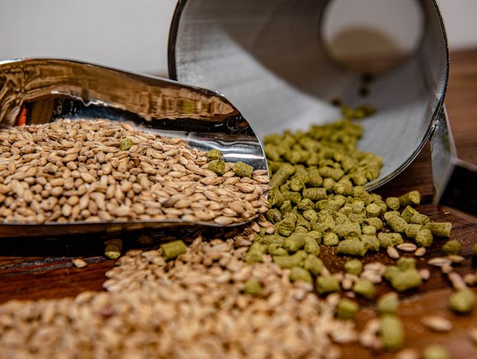 brew-your-dream-business-sydney-39-s-premier-home-brewing-hub-for-sale-1