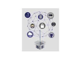Online Business 2 Business tech/security consultancy practise