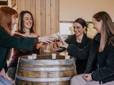 thriving-wine-tour-business-low-hours-growth-potential-price-reduced-8