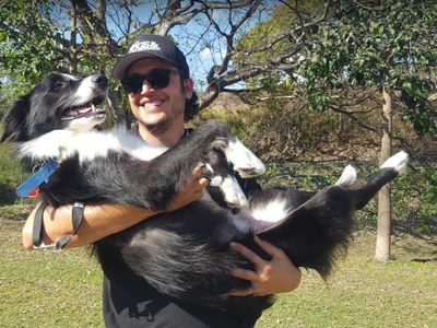 dog-walking-day-care-business-in-brisbane-franchise-business-opportunity-6