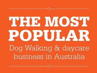 dog-walking-day-care-business-in-brisbane-franchise-business-opportunity-9