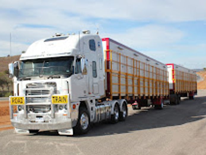 t-t-s-transport-service-urgent-sale-0