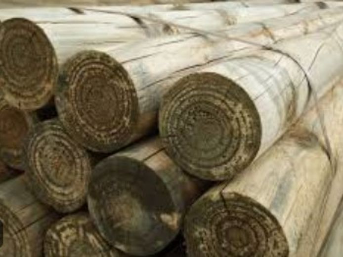 leading-wa-timber-supplies-business-2