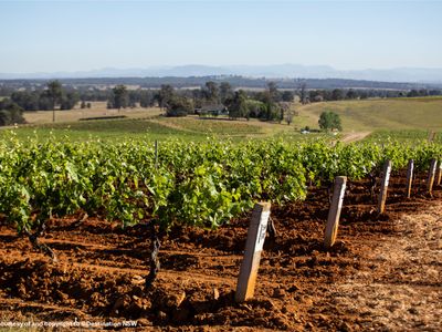 media-amp-marketing-newcastle-and-the-hunter-3