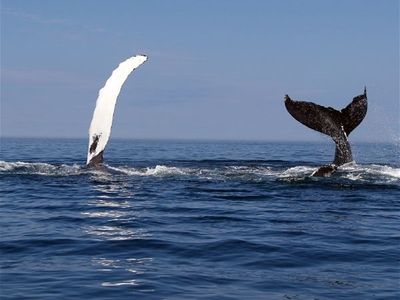 media-amp-marketing-newcastle-and-the-hunter-2