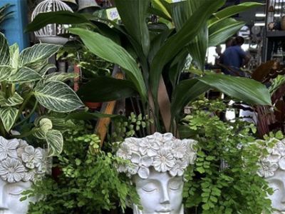 freehold-building-amp-hardware-supplies-newcastle-area-2