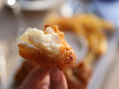 profitable-fish-and-chips-shop-for-sale-ref-2409004-1