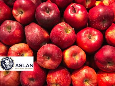 fruit-and-vegetable-business-for-sale-1