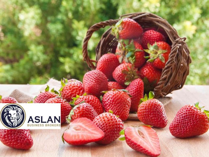 fruit-veg-amp-grocery-store-business-for-sale-0