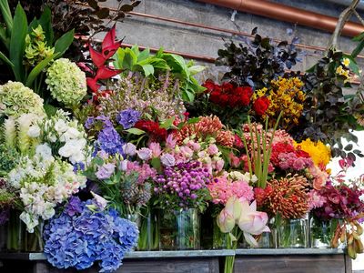 vibrant-beautiful-boutique-florist-for-sale-inner-city-suburb-of-sydney-0
