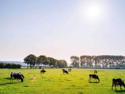 b2b-workplace-milk-fruit-supply-melbourne-750k-ebitda-under-management-3